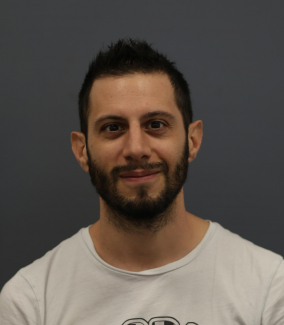 Bonfini
